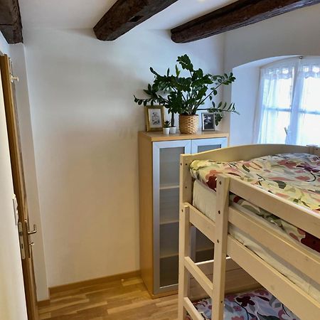 Le 128, Duplex Alsacien 10 Personnes, Piscine Lägenhet Horbourg Exteriör bild