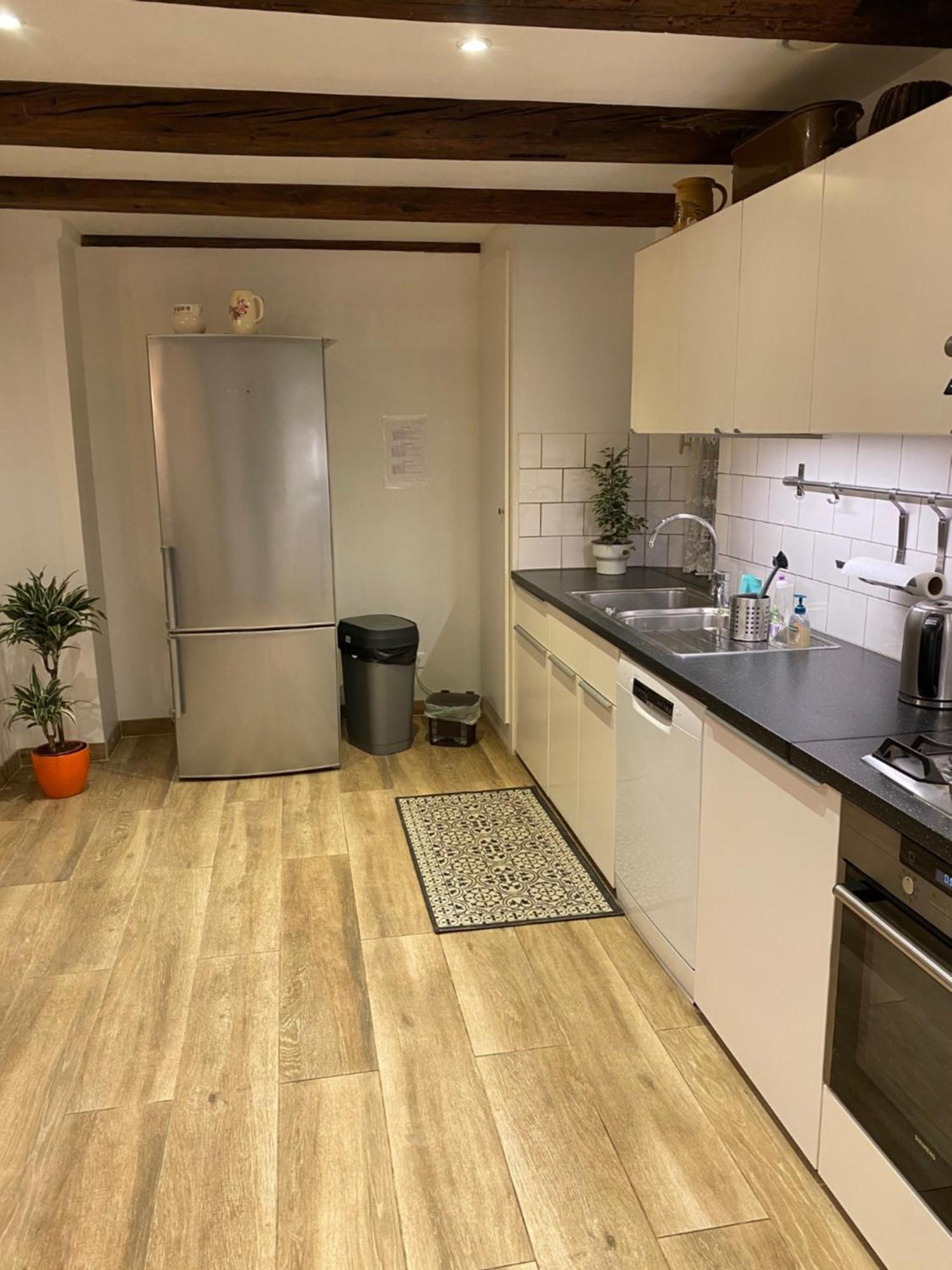 Le 128, Duplex Alsacien 10 Personnes, Piscine Lägenhet Horbourg Exteriör bild